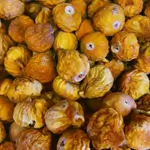 Fig