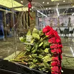 Rose Bag 11