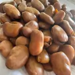 Beans
