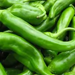 Pepper