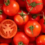Tomato