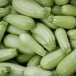 Zucchini