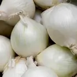 Onion