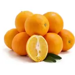 Egypt Orange