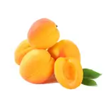 Apricot