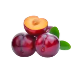 Red Plum