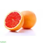 Red Grapefruit