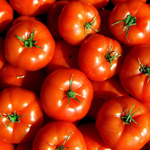 Kurdish Tomatoes