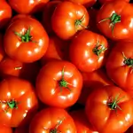 Kurdish Tomatoes