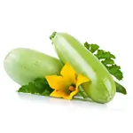 Zucchini