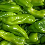 Long Sweet Pepper