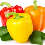 Colored Pepper