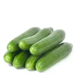 Cucumber