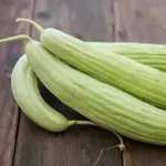 Armenian Cucumber