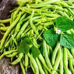 Green Bean