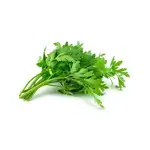 Celery