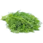 Dill