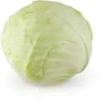 White Cabbage