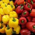 Colorful Pepper