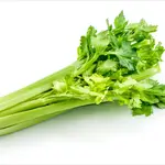 Celery