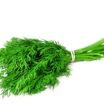 Dill