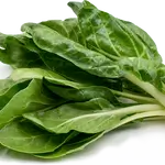 Chard