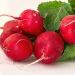 Red Radish
