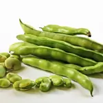 Beans