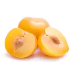 Yellow Plumb