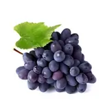 Black Grape
