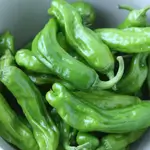 Pepper