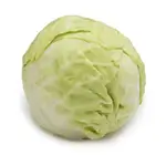 White Cabbage