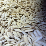 Long Yellow Seed