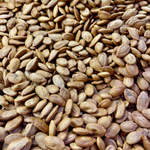 Melon Seed