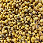 Fried Corn
