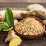 Ginger