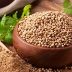 Coriander