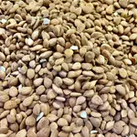 Apricot Pulp