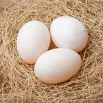 Sharazur Eggs 6 Piece