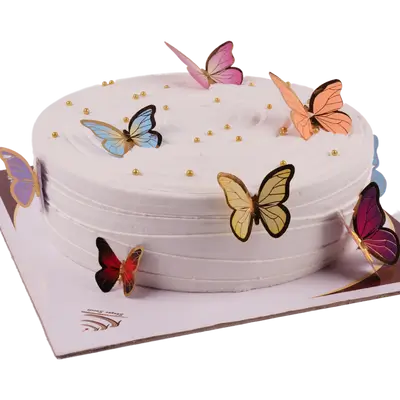 Special Cake1 - 6 Person