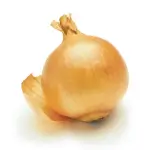 Dolma Onion