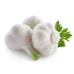 Wet Garlic