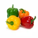 Colorful Pepper