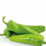 Chili Long Pepper