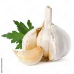 Wet Garlic
