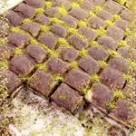 Antepe Baklava With Milk