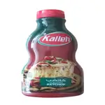 Ketchup Kallen