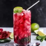 Pomegranate Mojito