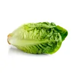 Lettuce