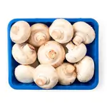 Fresh Mashroom